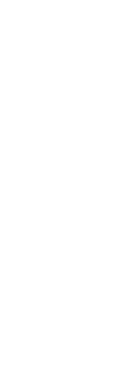 seo_text